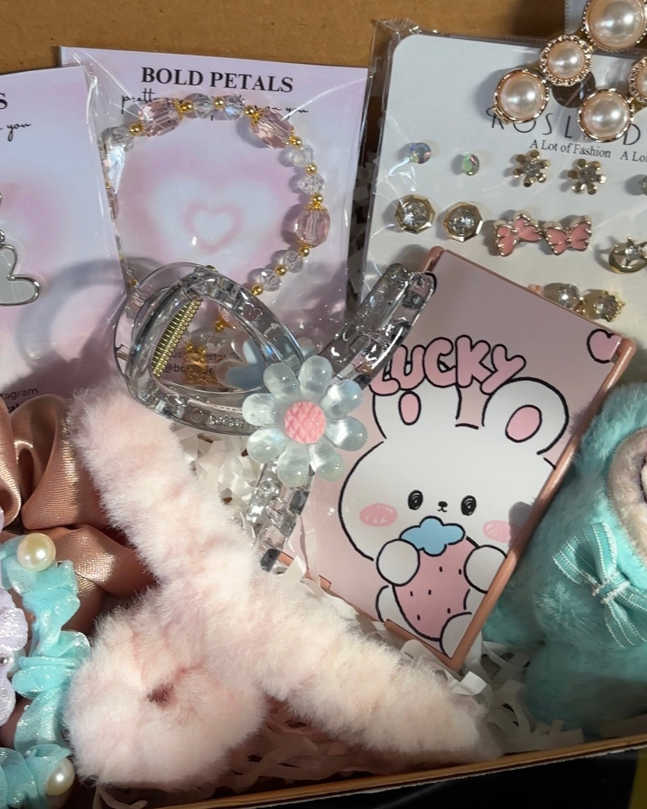 LABUBU gift combo