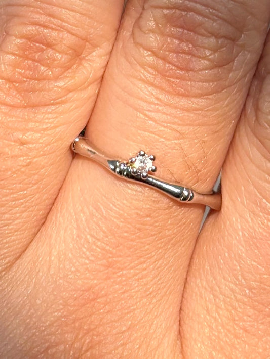 Stainless steel ring (silver)