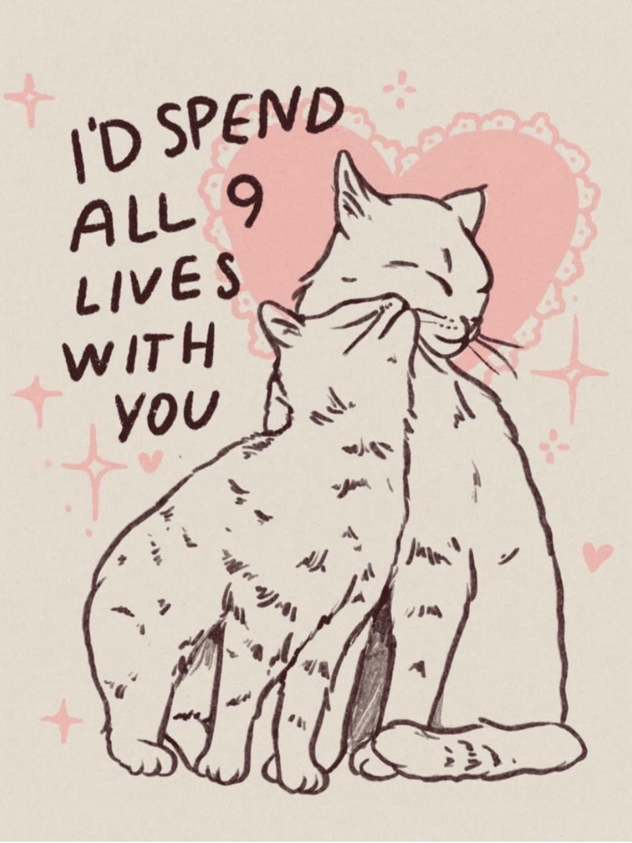 9 lives card